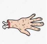 Civilizacion fenicia