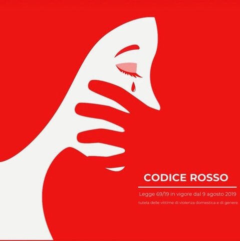 Law n.173 "Red code anti-violence"