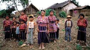 2015 El INEGI y la población indígena