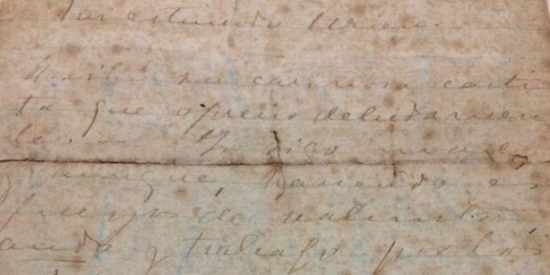 El fin de Leandro Alem