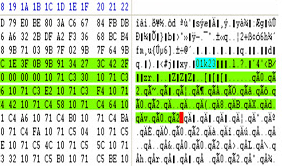 2da Generación (1959-1964)