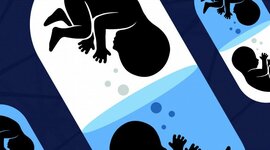 Timeline: Brave New World