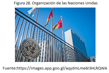 Organización de las Naciones Unidas