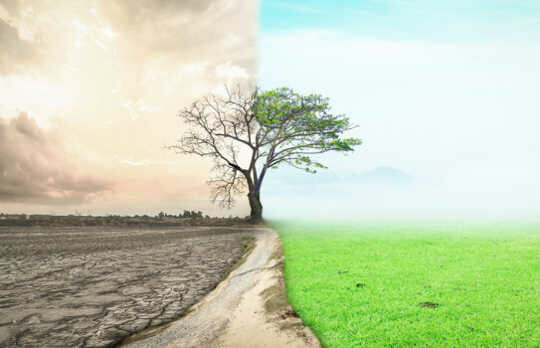 Transformación de la sociedad