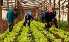 se dictó la Ley 11380