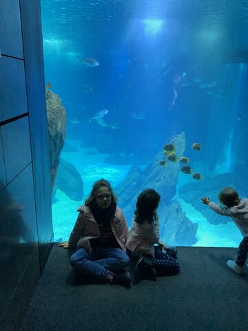 Visita al Oceanario