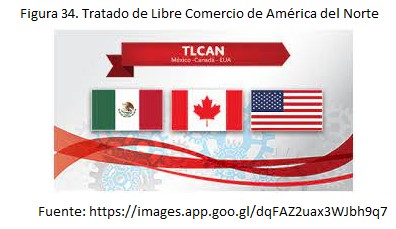 Tratado de Libre Comercio de América del Norte (TLCAN).