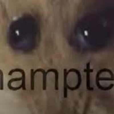 Timeline: The history of the virus