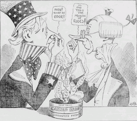 Pure food and drug act, meat inspection act