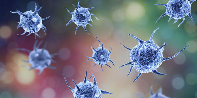 Descubrimiento de Herbert Copeland  sobre el reino monera