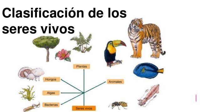 Carlos Woese clasifica a los seres vivos