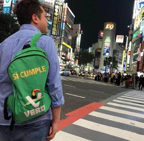 Partido Verde Ecologisa