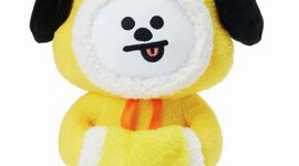 Timeline: Idk: timeline bullet