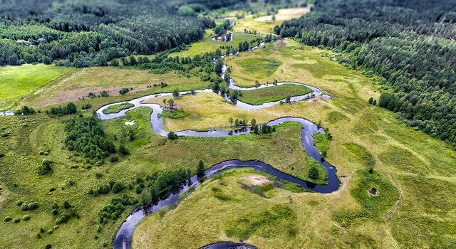 Corriente regionalista o humanista