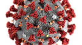 Timeline: Covid-19 Project