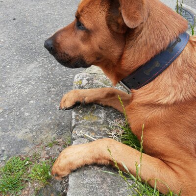 Timeline: My Timeline