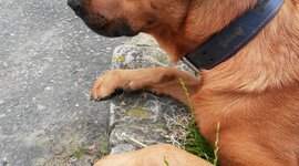 Timeline: My Timeline