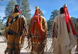 Indigenous Environmental Network Forms