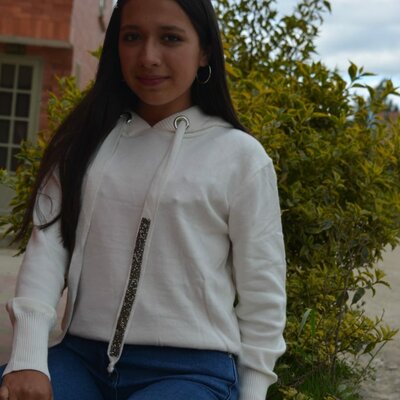 Timeline: Línea del tiempo Evelyn Geraldinne Silva Huertas