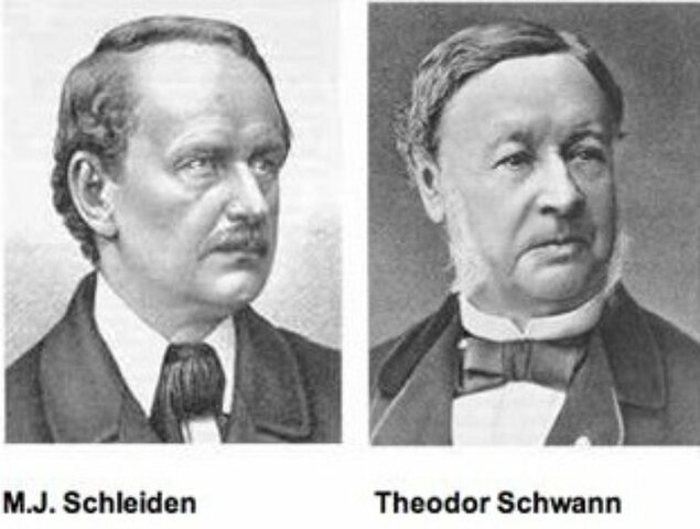T.Schwann, M. I. Schleiden bugün ki hücre teorisi