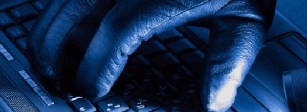 club de robos en la red