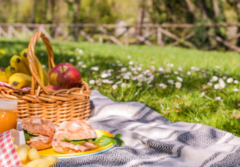Ada and Ruby's picnic