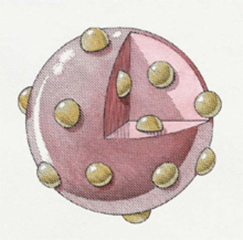 Plum Pudding Atom (Thomson)