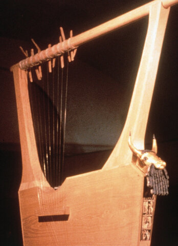 Bull-headed lyre