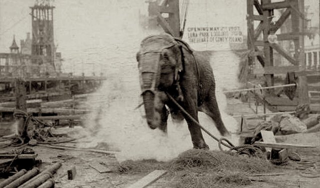 Nikola Tesla electrocuta un elefante