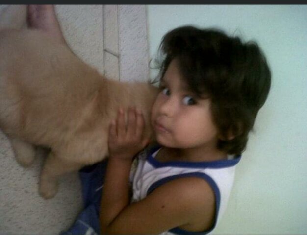 Adoptamos su primer mascota "Tango"