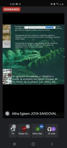 Entrada a la universidad