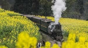 The Steam Locomotive(train)