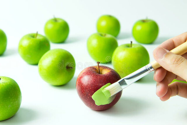 Instauration d'un réseau d'école anglophones