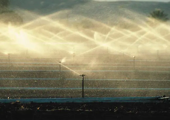 The Haber-Bosch process