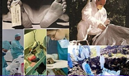 Historia de la Medicina Legal en Panamá