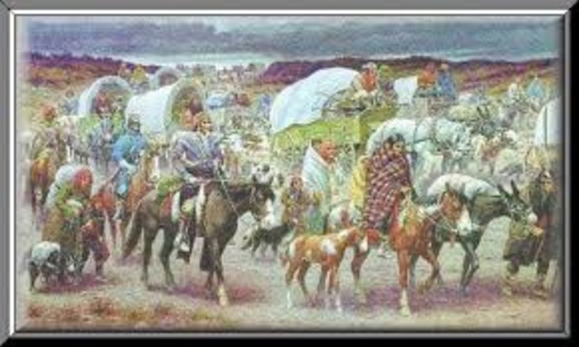 Indian Removal Act (1838 Trail of Tears)
