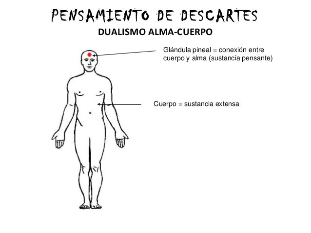 El alma en el cuerpo, Descartes