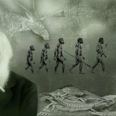 Timeline: Charles Darwin, biografia
