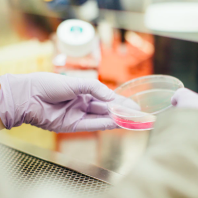 Timeline: Important Discoveries In Chemistry