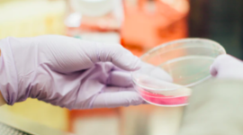 Timeline: Important Discoveries In Chemistry