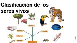 Timeline:  la clasificación de los seres vivos ( María Duarte - 2do Técnica)