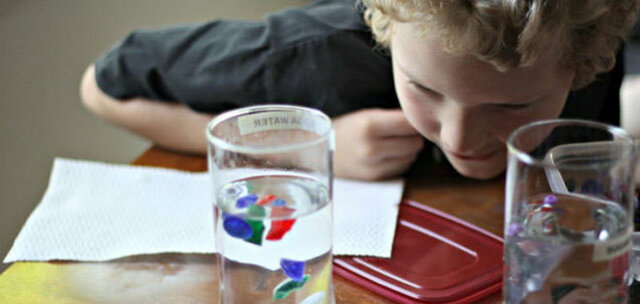 Conservar cantidades nùmericas