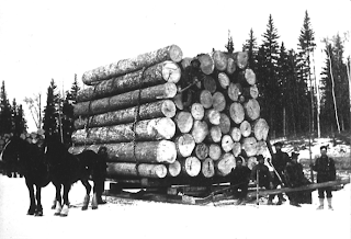 Expansion du commerce du bois