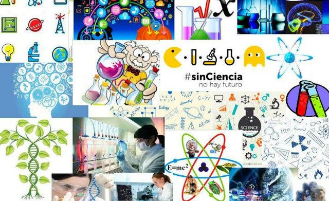 Nuevos campos de conocimiento