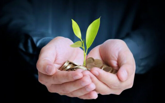 Bases de una economía ecológica