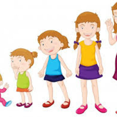 Timeline: El desarrollo cognitivo de Ana.