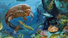 Timeline: ERA PALEOZOICA: Periodos Cámbrico, Ordovícico y Silúrico