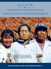 LEY 21 DE 1991 DERECHOSDE LOS PUEBLOS INDIGENAS