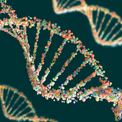 Timeline: El avance de la genética