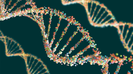 Timeline: El avance de la genética